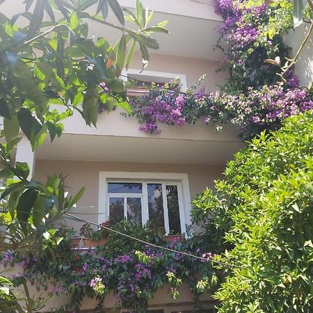 Flowers Guesthouse Tirana Exterior photo