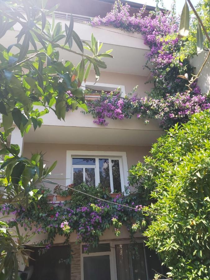 Flowers Guesthouse Tirana Exterior photo